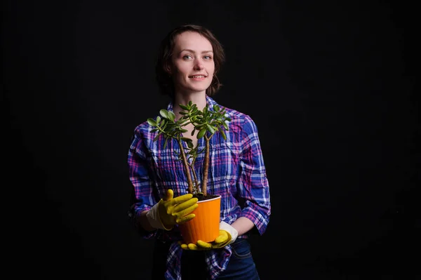 女性の手は新しい鍋に植物を移植 — ストック写真