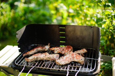 Barbekü ızgara et açık çeşitli türleri ile