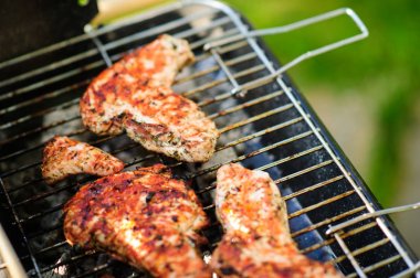 Barbekü ızgara et açık çeşitli türleri ile