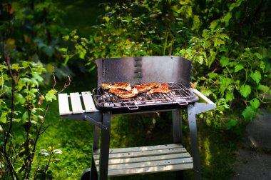 Barbekü ızgara et açık çeşitli türleri ile