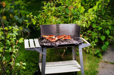 Barbekü ızgara et açık çeşitli türleri ile