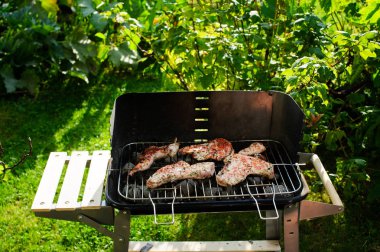 Barbekü ızgara et açık çeşitli türleri ile