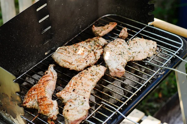Barbecue Grill Różnych Rodzajów Mięsa Odkryty — Zdjęcie stockowe