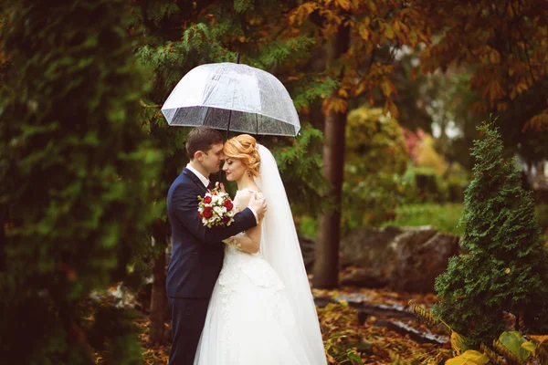 빗 속에서 결혼식 키스 — 스톡 사진
