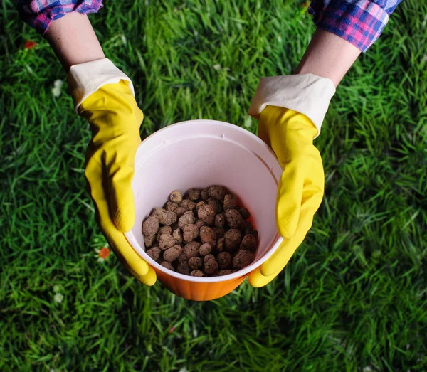 Terreno Mani Donna Vaso Fiori Plastica Sfondo Erba — Foto Stock