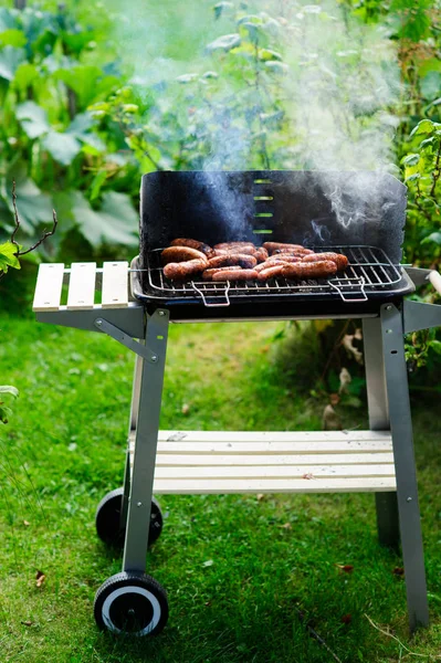 Barbekü Izgara Açık Çeşitli Türleri Ile — Stok fotoğraf