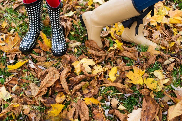 Autumn fall concept with colorful leaves and rain boots outside. Close up of woman feet walking in boots.