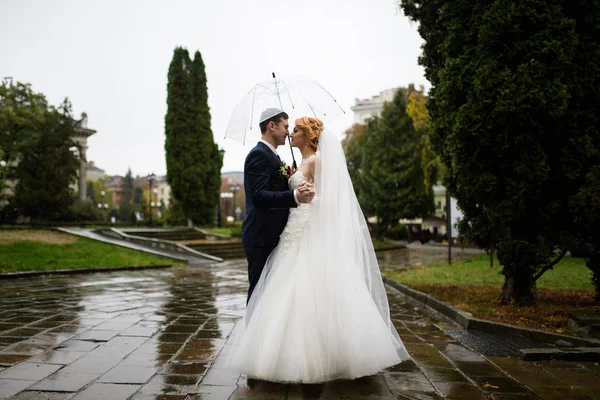 Beso Boda Bajo Lluvia —  Fotos de Stock