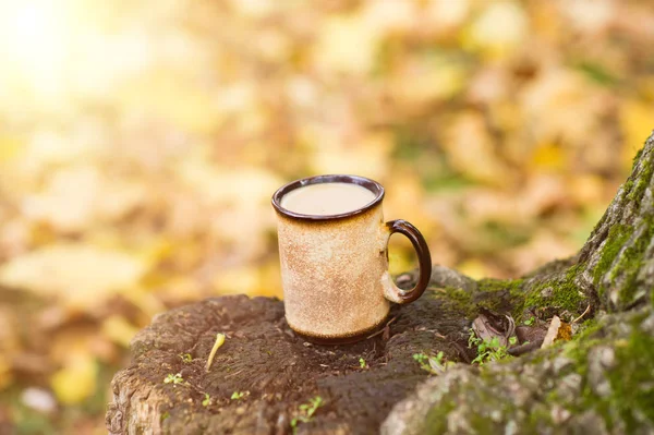 Autumn Leaves Hot Steaming Cup Coffee Still Life Concept — Stock Photo, Image