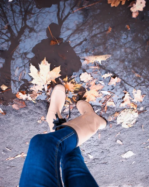 Autumn fall concept with colorful leaves and rain boots outside. Close up of woman feet walking in boots.