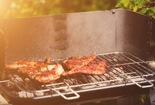 Barbekü ızgara et çeşitli türleri ile — Stok fotoğraf