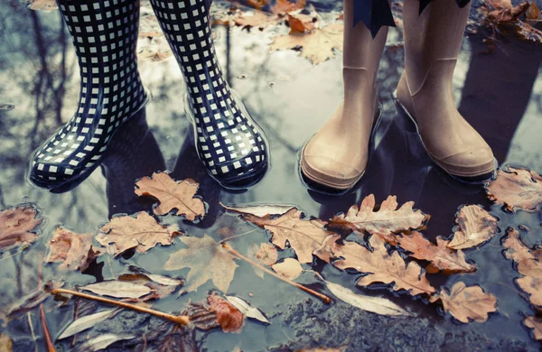 Herbstliches Herbstkonzept Mit Bunten Blättern Und Regenstiefeln Draußen Nahaufnahme Von — Stockfoto