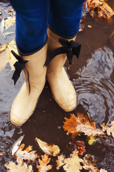 Herbstliches Herbstkonzept Mit Bunten Blättern Und Regenstiefeln Draußen Nahaufnahme Von — Stockfoto