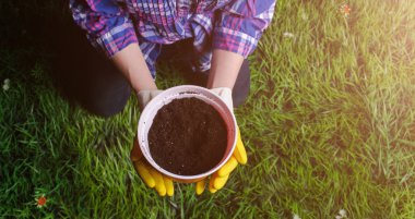 Toprak kadın elinde plastik saksıyı çim zemin üzerine