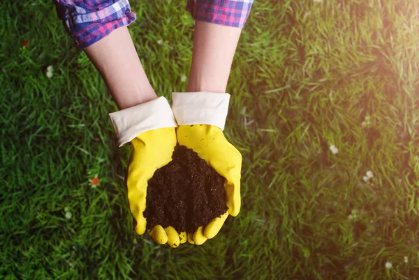 Soil in woman hands on grass background — Stock Photo, Image