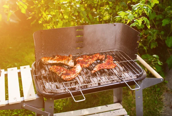 Barbekü ızgara et çeşitli türleri ile — Stok fotoğraf