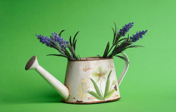 Watering can with flowers on the green bsckground — Stock Photo, Image