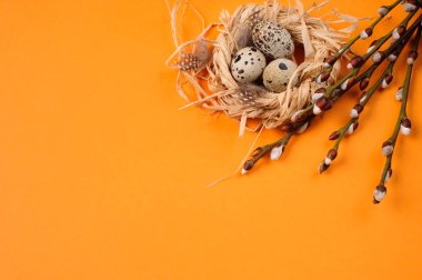 Bıldırcın yumurtası turuncu zemin üzerine saman bir yuvada
