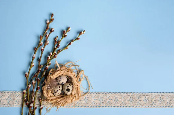 Kwarteleitjes in een stro nest op de blauwe achtergrond — Stockfoto