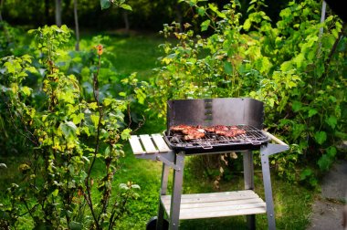 Barbekü ızgara et çeşitli türleri ile