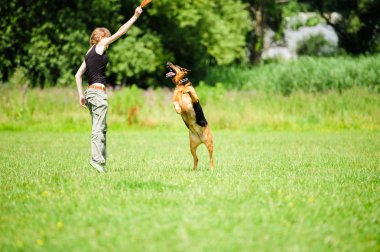 komik köpekle oynamayı kız