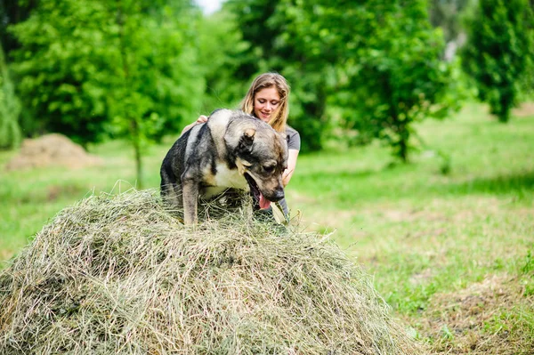 Menina Jogar Com Engraçado Cão — Fotografia de Stock