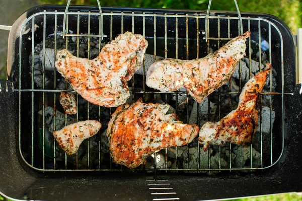 Barbekü ızgara et çeşitli türleri ile — Stok fotoğraf