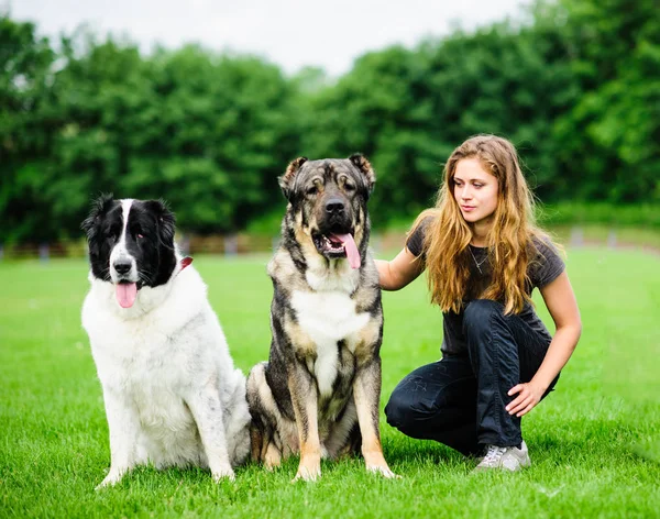 Menina Jogar Com Engraçado Cão — Fotografia de Stock