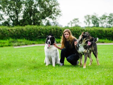 komik köpekle oynamayı kız