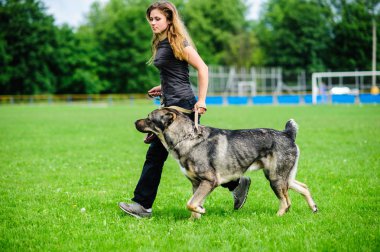 komik köpekle oynamayı kız