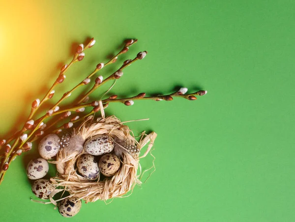 緑の背景にわら巣でウズラの卵 — ストック写真