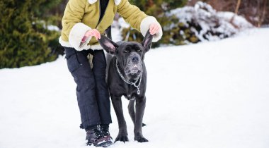 a köpek ile karda oynayan kız