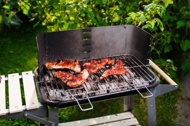 Barbekü ızgara et açık çeşitli türleri ile