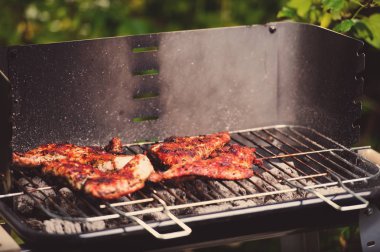 Barbekü ızgara et açık çeşitli türleri ile