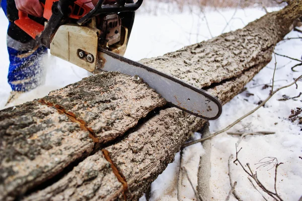 Primer plano de la sierra serradora de madera en movimiento, el aserrín vuela a — Foto de Stock