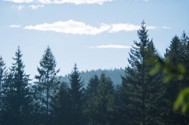 Dağlarda güneşli sonbahar manzara