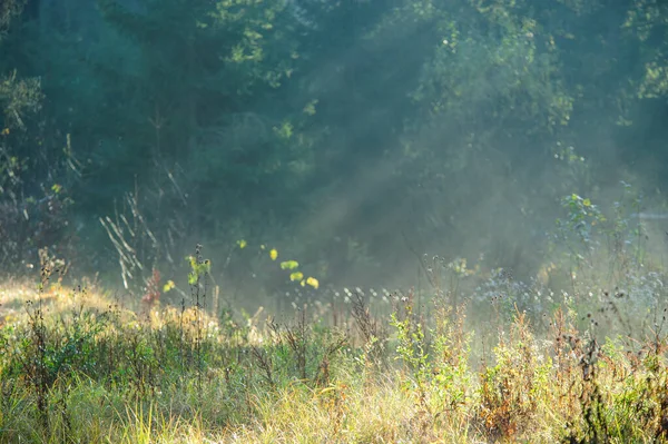 Sonnige Herbstlandschaft in den Bergen — Stockfoto