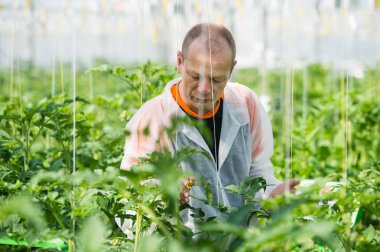 Bitki inceleyerek bilim adamı