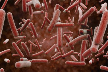 bakteriler, hücre, closeup 3D render