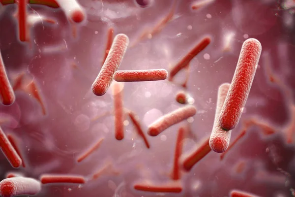 3D-Darstellung von Bakterien, Zellen, Nahaufnahmen — Stockfoto