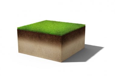 3D arazi Adası ile taze yeşil çim parçası
