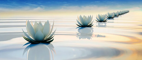 Lots Flower Calm Ripple Water — Stock Photo, Image