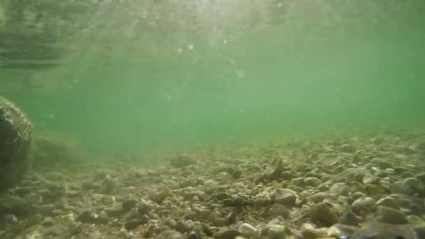 Shallow lake water, underwater view — Stock Video