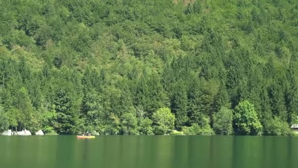 Yelkenli tekne alanında çevreleyen Bohinj Gölü görüntüleyin — Stok video