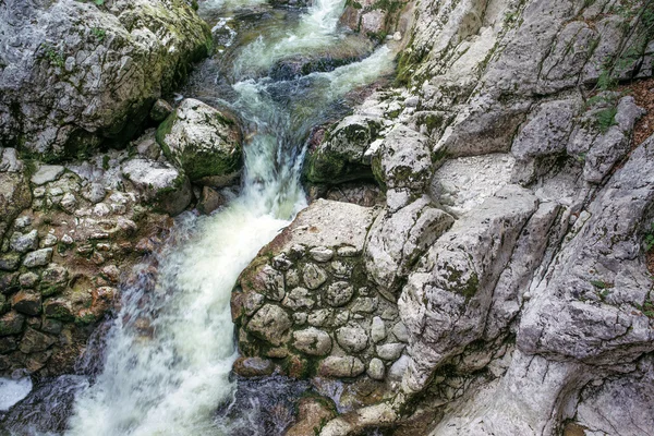 Mountain stream detail — Stockfoto