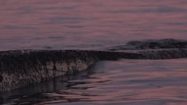 Marée du soir, élévation du niveau de la mer la nuit — Video