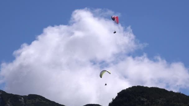 Nelze rozpoznat lidi paragliding — Stock video