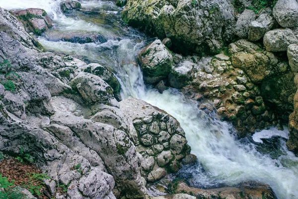 Dettaglio torrente di montagna — Foto Stock