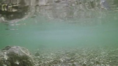 Sığ göl su sualtı çekim