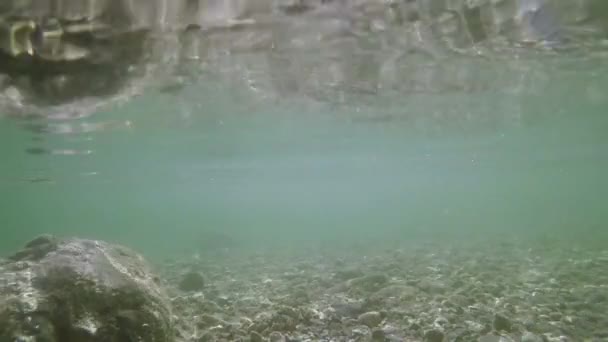 Víz alatti lövés a víz sekély tó — Stock videók